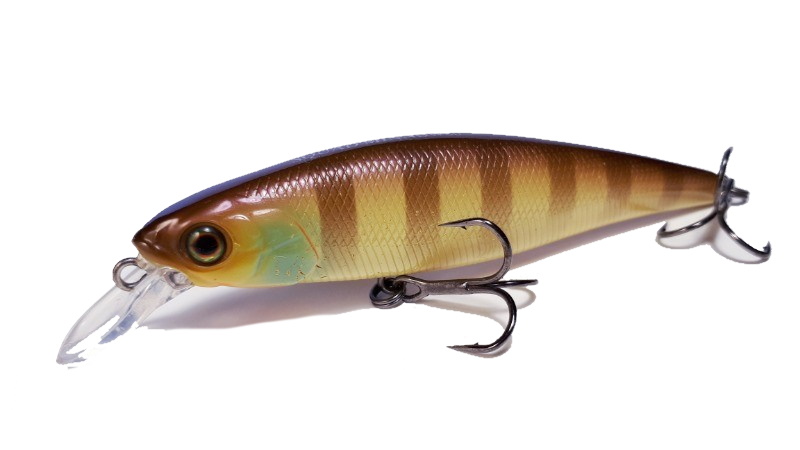 Золотая рыбка Jackall Squad Minnow 95SP: обзор, характеристики, секреты ловли