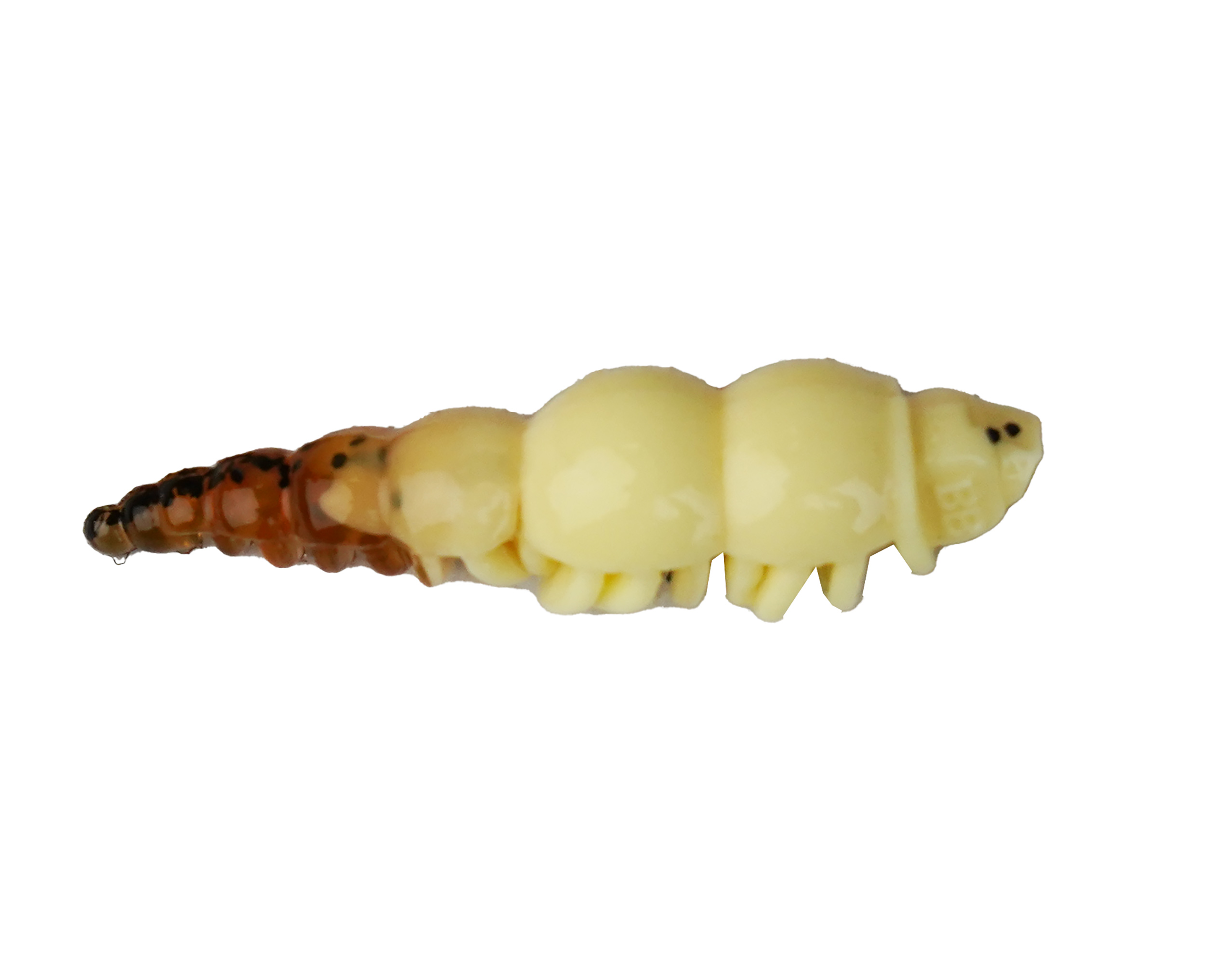 Приманка Boroda Baits Larva цв.слеза ангела 12шт - фото 1