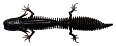 Приманка Savage Gear Ned Salamander 7,5см 3гр Floating Black N Blue уп.5шт