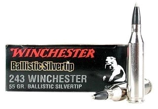 Патрон 223Rem Winchester Ballistic silver tip 3,56г - фото 3