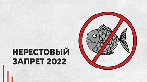 Нерестовый запрет в Астраханской области в 2024 году