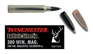 Патрон 300WM Winchester Ballistic silver tip 11,66г - фото 1